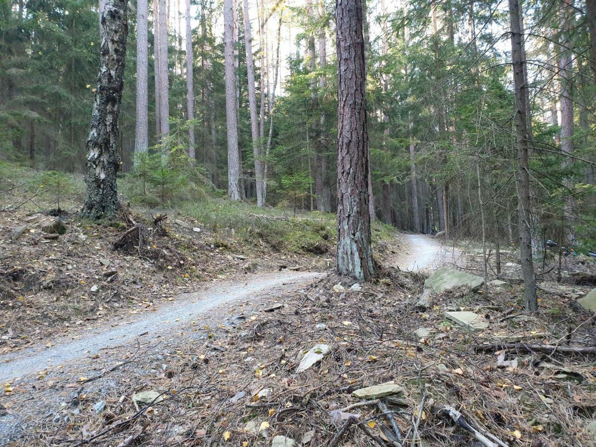Lipno Nad Vltavou - Apartman 23 - Wifi, Parking, Netflix 外观 照片