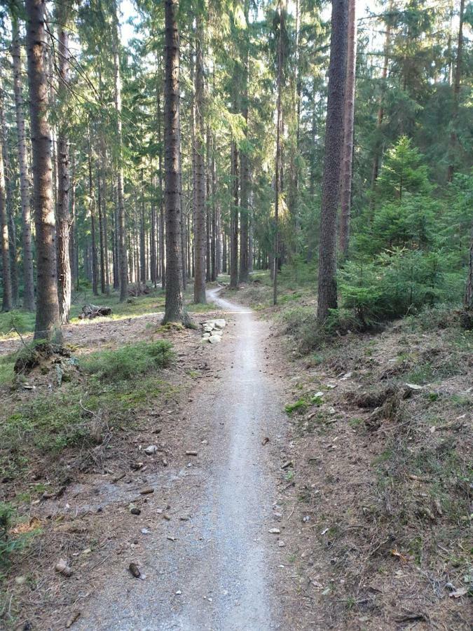 Lipno Nad Vltavou - Apartman 23 - Wifi, Parking, Netflix 外观 照片